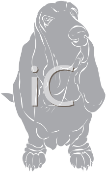 Pet Clipart