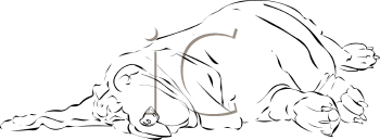 Pet Clipart