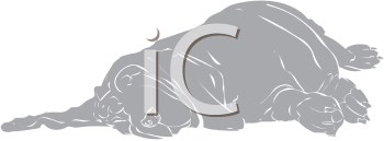 Pet Clipart