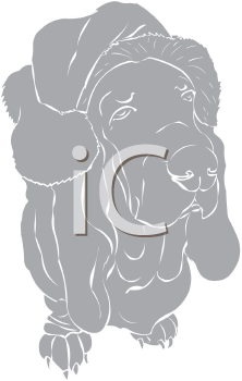 Pet Clipart