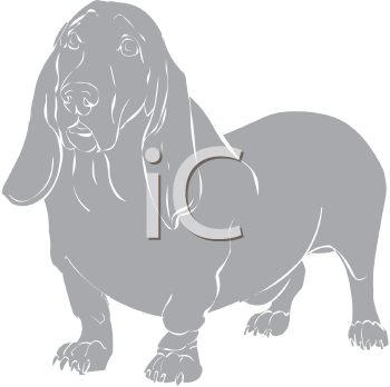 Pet Clipart