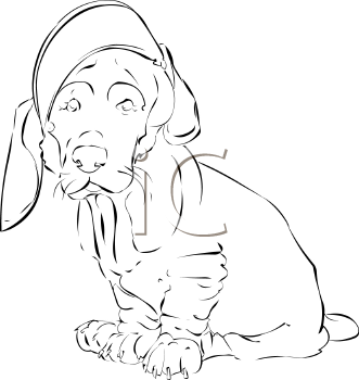 Pet Clipart