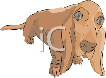 Pet Clipart