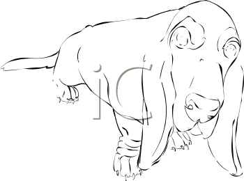 Pet Clipart