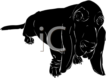 Pet Clipart