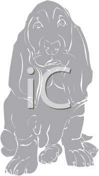 Pet Clipart