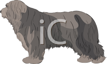 Dog Clipart