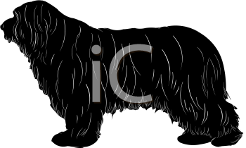 Pet Clipart