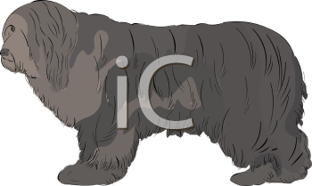 Dog Clipart