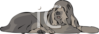 Dog Clipart