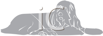 Pet Clipart