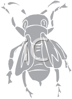 Insect Clipart
