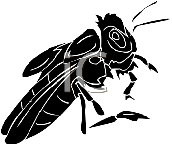 Insect Clipart