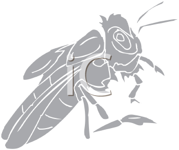 Insect Clipart