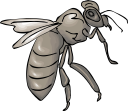 Insect Clipart