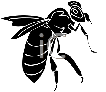Insect Clipart