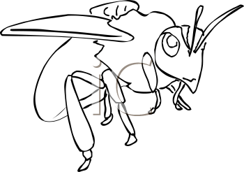 Insect Clipart