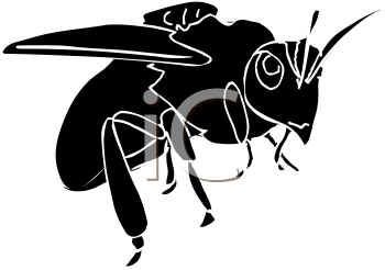 Insect Clipart