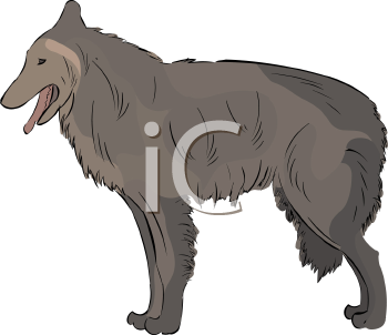 Pet Clipart