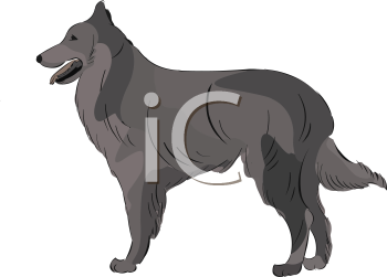 Dog Clipart