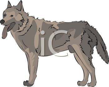Pet Clipart