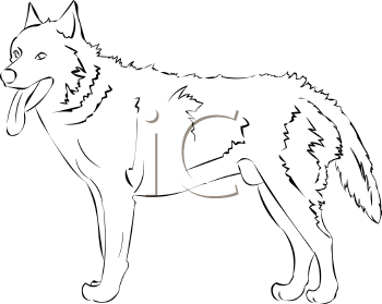 Pet Clipart