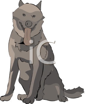 Pet Clipart