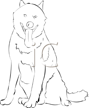 Pet Clipart