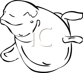 Fish and Sea Life Clipart