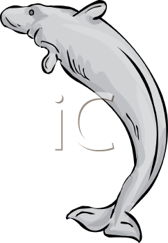 Aquatic Animals Clipart