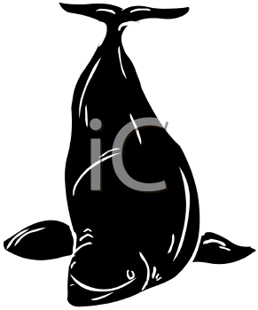 Fish and Sea Life Clipart