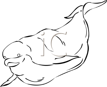 Aquatic Animals Clipart