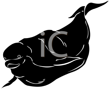 Fish and Sealife Clipart