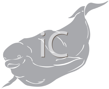 Aquatic Animals Clipart