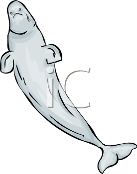 Fish and Sealife Clipart