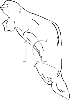Fish and Sea Life Clipart