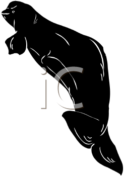 Fish and Sealife Clipart