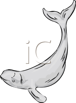 Fish and Sea Life Clipart