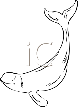 Fish and Sealife Clipart