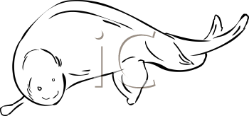 Aquatic Animals Clipart