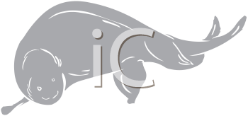 Fish and Sealife Clipart