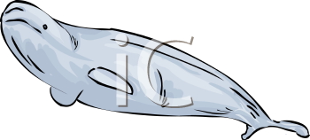 Fish and Sea Life Clipart