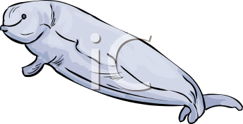 Fish and Sea Life Clipart