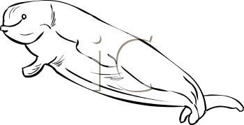 Fish and Sealife Clipart