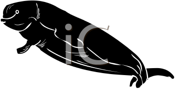 Fish and Sealife Clipart