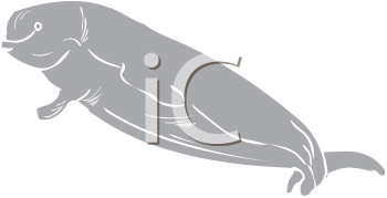 Fish and Sealife Clipart
