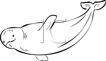 Fish and Sea Life Clipart