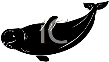 Fish and Sea Life Clipart