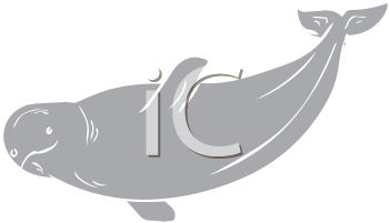 Fish and Sealife Clipart
