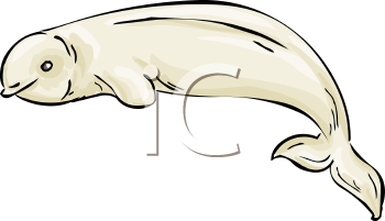 Fish and Sealife Clipart